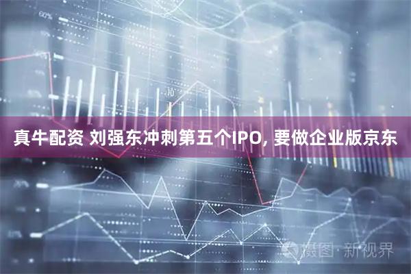 真牛配资 刘强东冲刺第五个IPO, 要做企业版京东