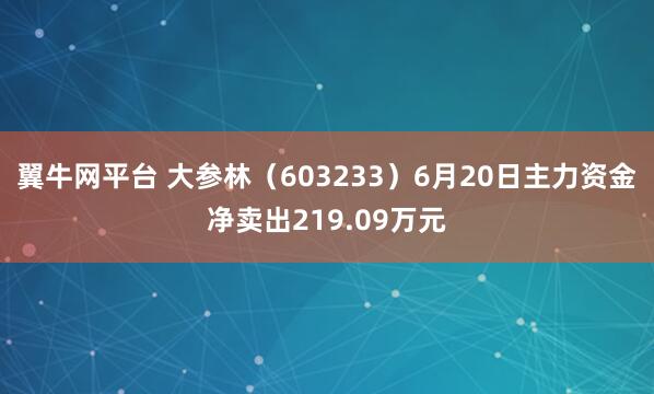 翼牛网平台 大参林（603233）6月20日主力资金净卖出219.09万元
