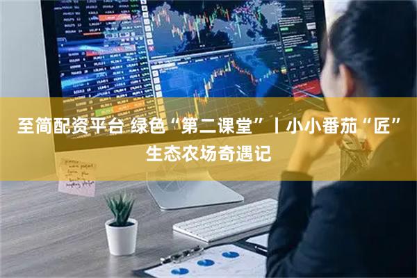 至简配资平台 绿色“第二课堂”丨小小番茄“匠”生态农场奇遇记